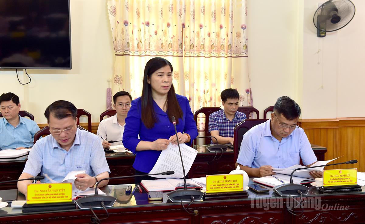 Phó Chủ tịch HĐND tỉnh Lê Thị Thanh Trà phát biểu thảo luận.