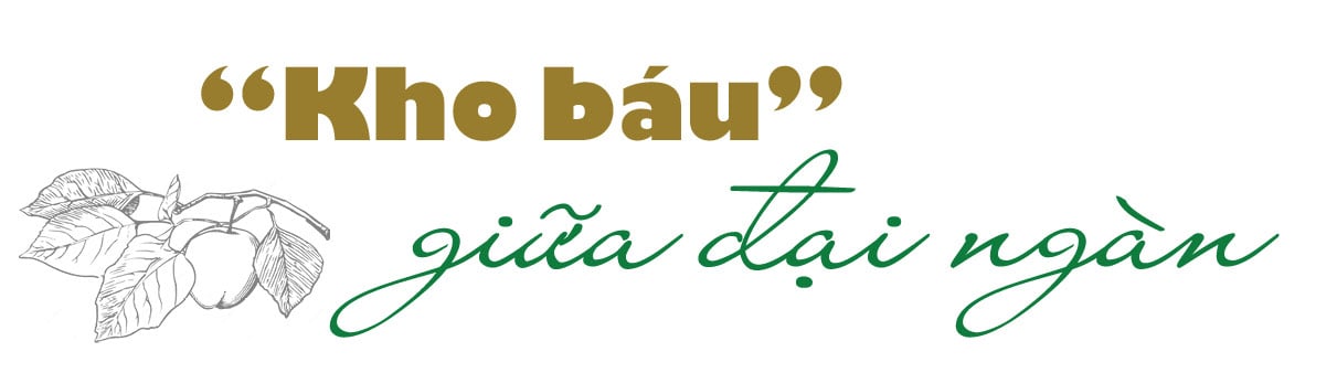 Longform | Tây Bắc đồng lòng, nông sản bản địa vươn mình lớn dậy - 1