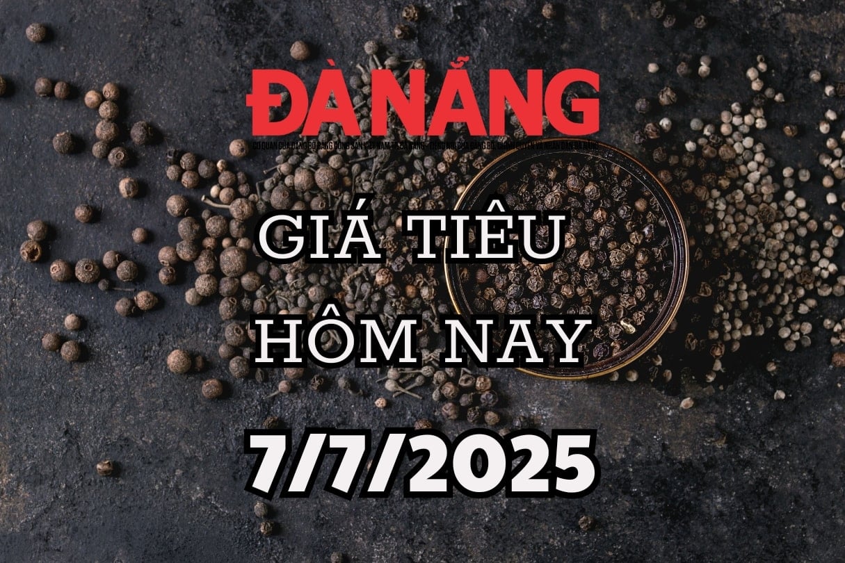 Giá tiêu ngập trong sắc xanh, Đắk Lắk vẫn giữ đỉnh giá, tiêu thế giới bất động