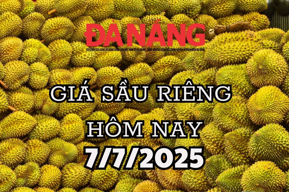 Giá sầu riêng hôm nay 7 7 2025 Sầu Thái có đáy mới, xuất khẩu bứt tốc