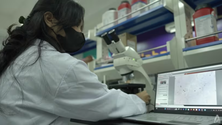Người Đông Nam Á đang 'ăn nhựa mỗi ngày' mà không hay biết - Ảnh 1.