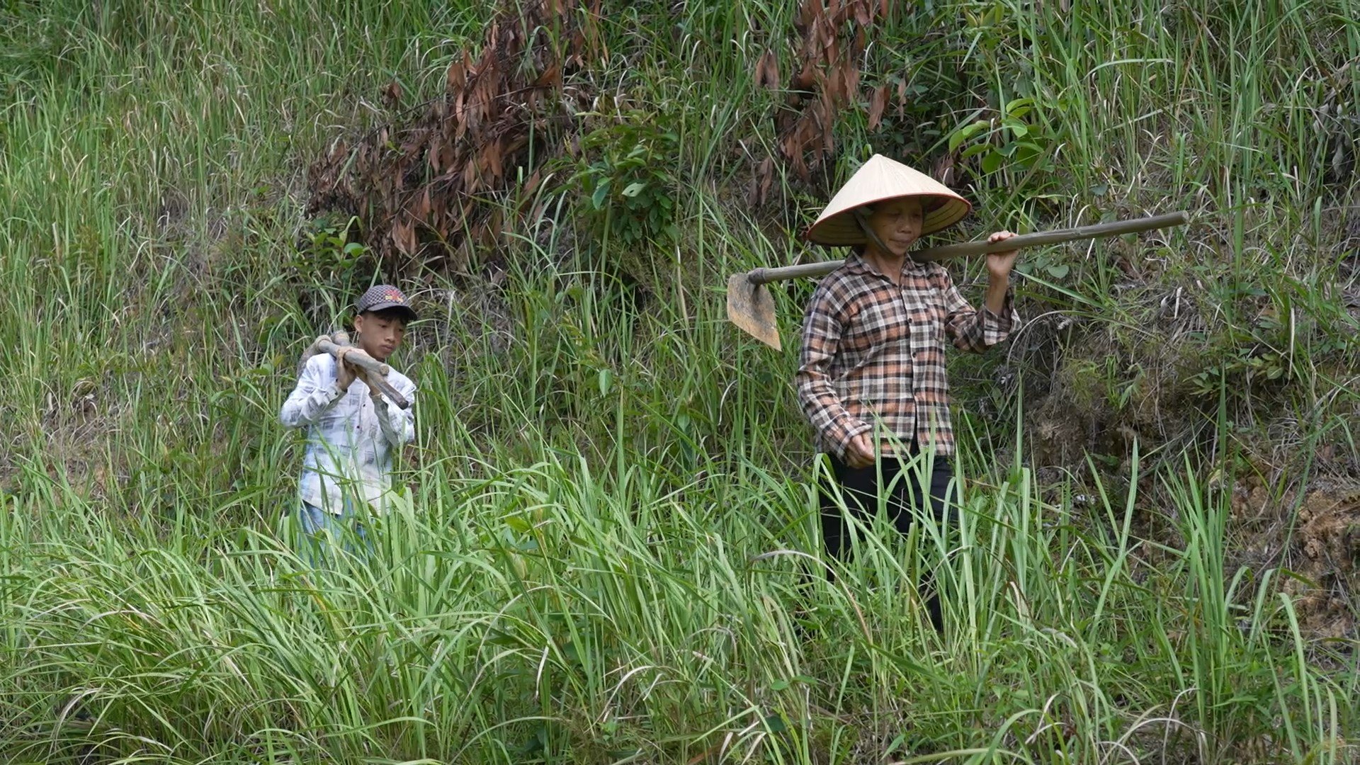 Cậu bé lặng lẽ theo bà ra đồng, cố gắng phụ giúp để bà bớt đi phần nào vất vả mưu sinh.