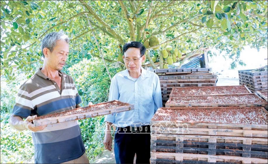 Nhiều hộ nông dân áp dụng phương thức mạ khay cấy máy.