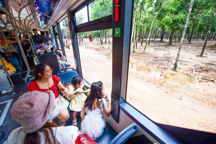 du lịch hè - Ảnh 1.