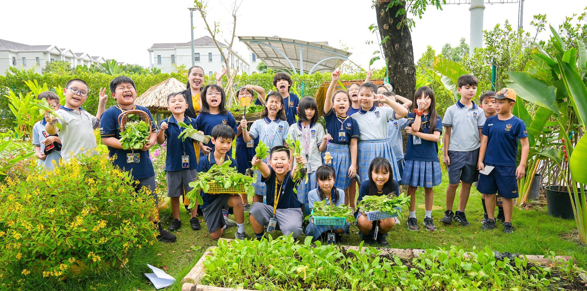 Victoria School đồng hành cùng UNESCO nhân rộng mô hình Trường học Hạnh phúc tại Việt Nam- Ảnh 5.