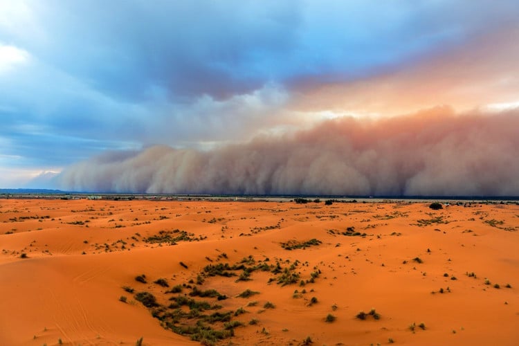 bui-sahara.jpg