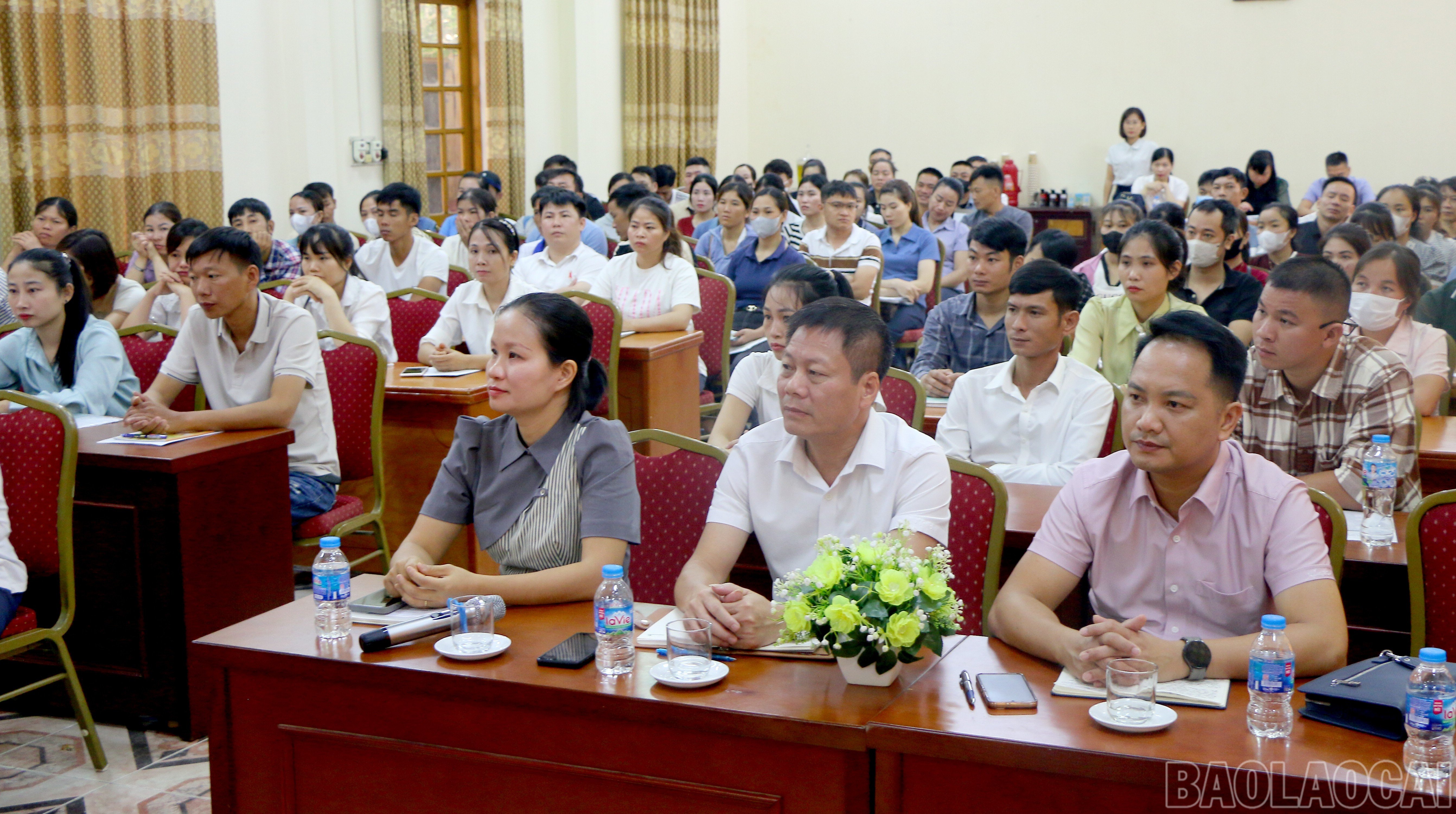 baolaocai-br_img-9976.jpg