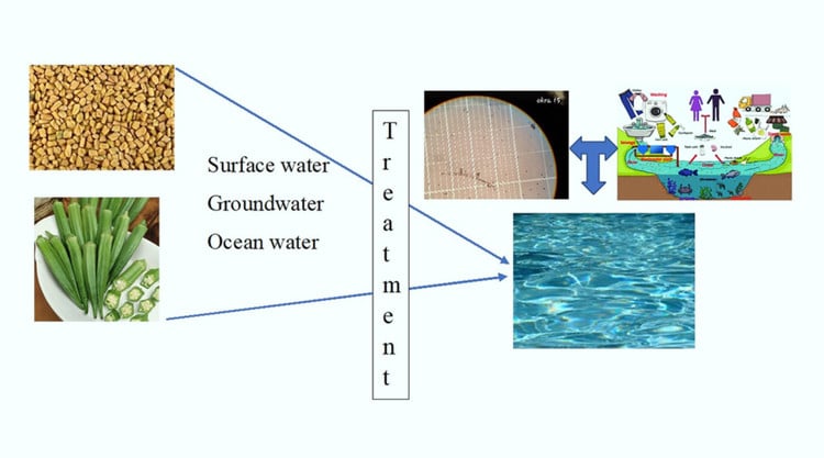 image-13882e-microplastics.jpg