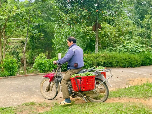 'Chìa khoá' giúp người dân xã miền núi thoát nghèo ảnh 2