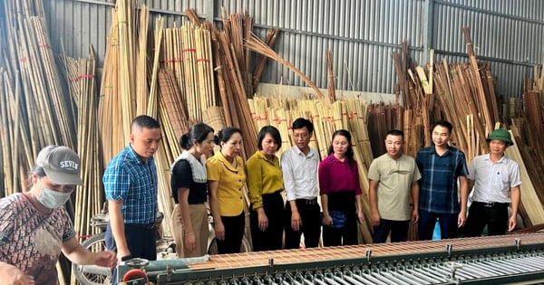 ហាណូយខិតខំទាក់ទាញកម្មករជនបទចំនួន 20.000 នាក់មកបណ្តុះបណ្តាលវិជ្ជាជីវៈជារៀងរាល់ឆ្នាំ។
