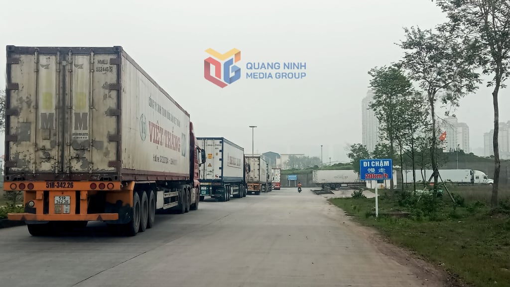 Xuất khẩu hàng nông sản sang thị trường Trung Quốc qua Lối thông quan cầu phao Km3+4, phường Móng Cái 3