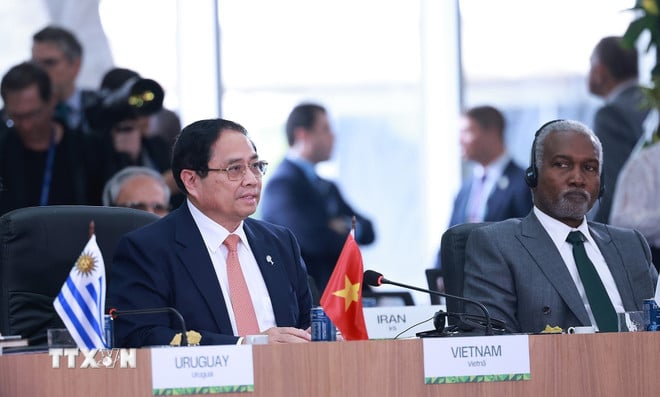 ttxvn-thu-tuong-du-phien-thao-luan-cap-cao-ve-moi-truong-cop-30-va-y-te-toan-cau-tai-hoi-nghi-brics-mo-rong-2025-8136166.jpg