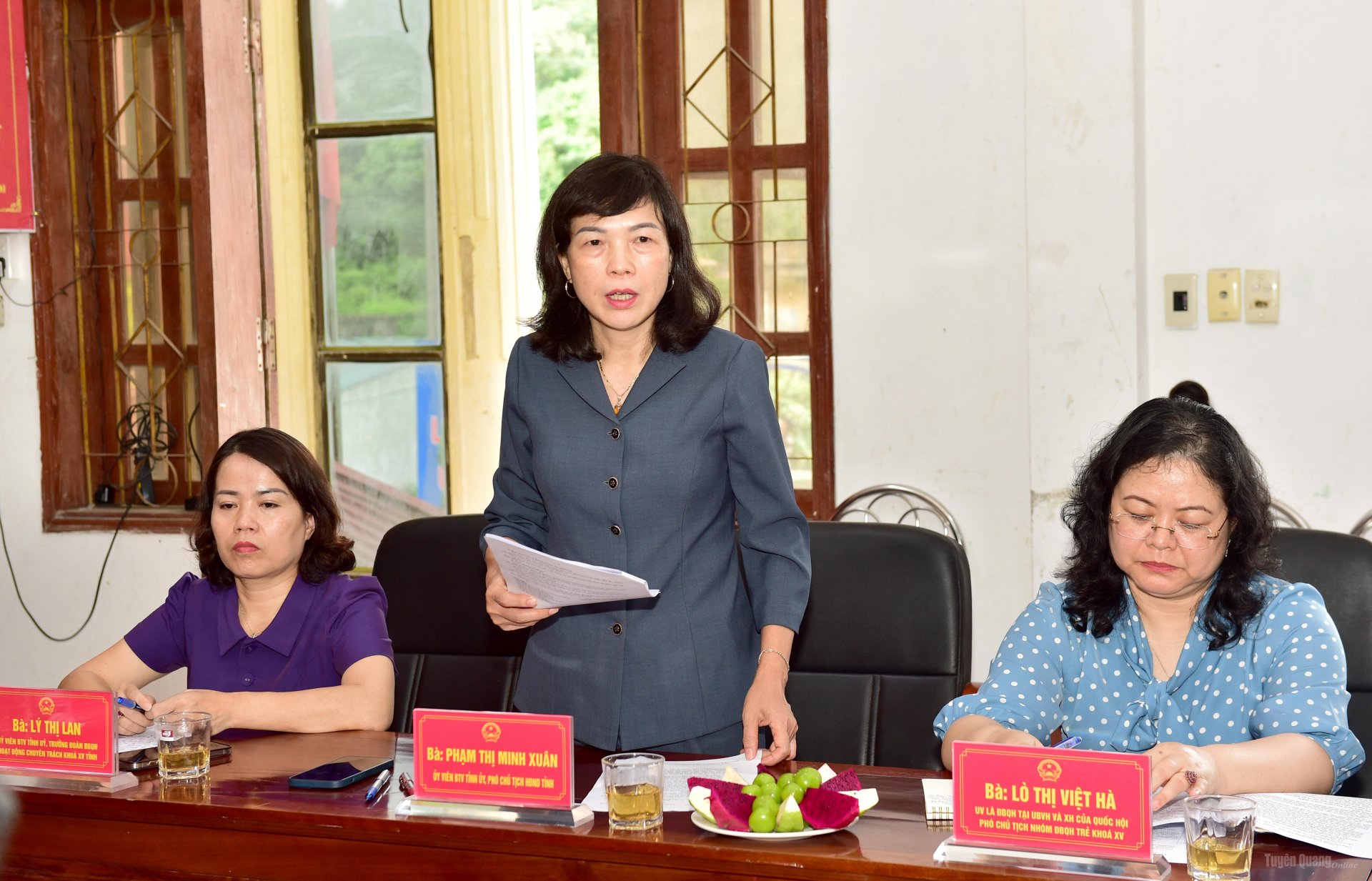Phó Chủ tịch HĐND tỉnh Phạm Thị Minh Xuân phát biểu tại buổi làm việc.