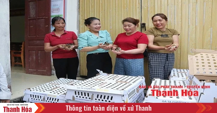 Effective family economic development from cooperative model