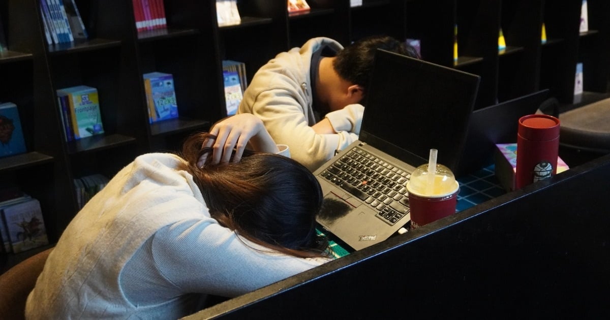 Caffeine và giấc ngủ bị đánh cắp của thế hệ "cày điểm"
