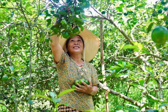 'Chìa khoá' giúp người dân xã miền núi thoát nghèo ảnh 1