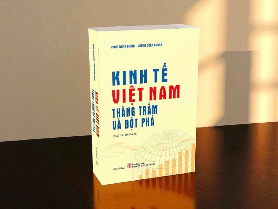 sach-kinh-te-viet-nam.jpg