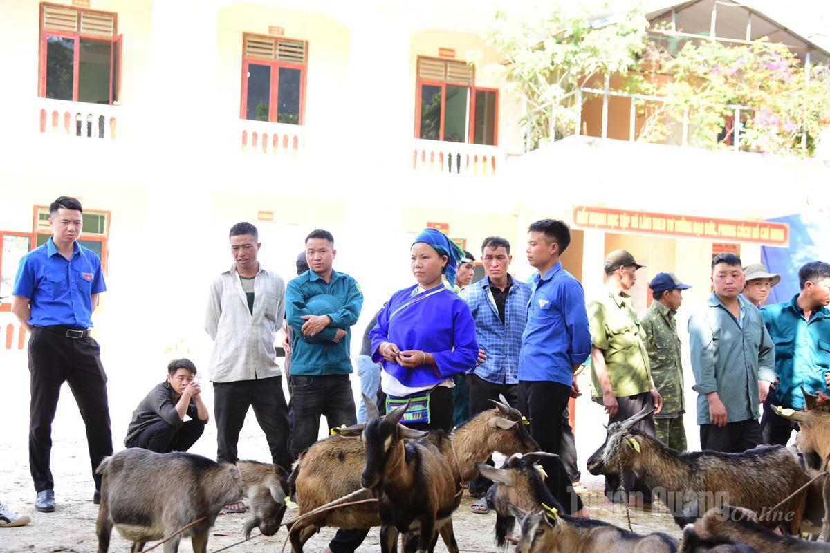  Tổ chức Plan Hà Giang trao tặng dê, cây giống cho nhóm đối tượng dễ bị tổn thương do thiên tai xã Túng Sán.