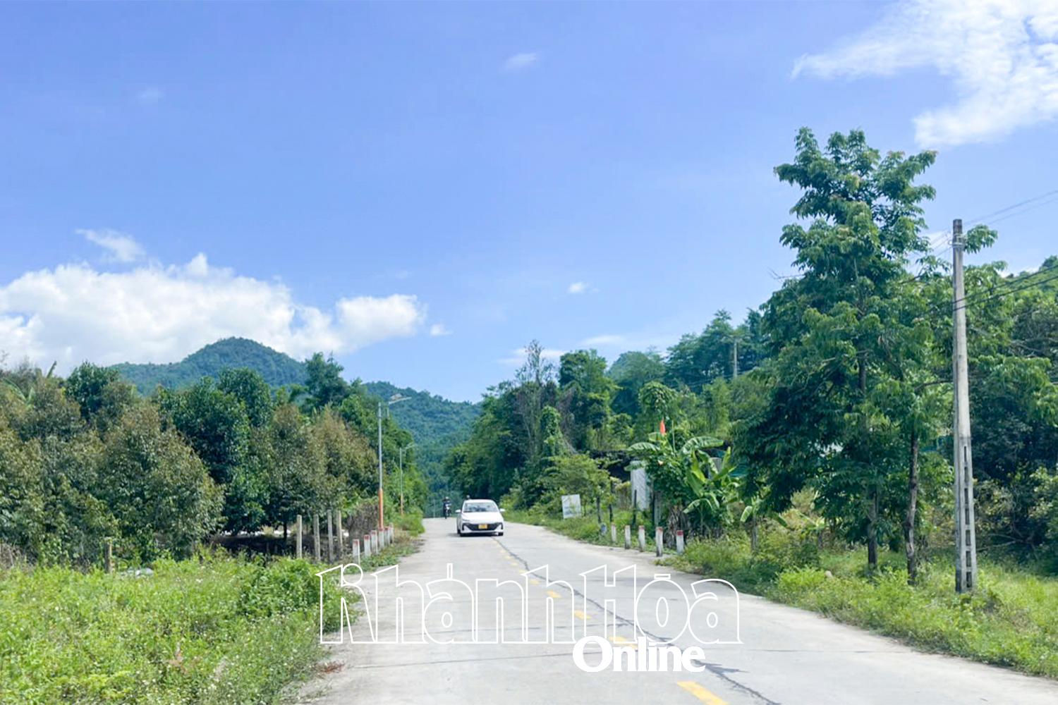 Một khu vực chồng lấn đất của người dân ở Sơn Tân với lâm phận của Ban Quản lý Rừng phòng hộ Nam Khánh Hòa.
