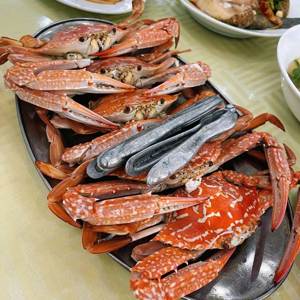 Khách thấy đắt đỏ khi ăn quán ốc ở Hạ Long 8 người hết gần 6 triệu đồng - 2