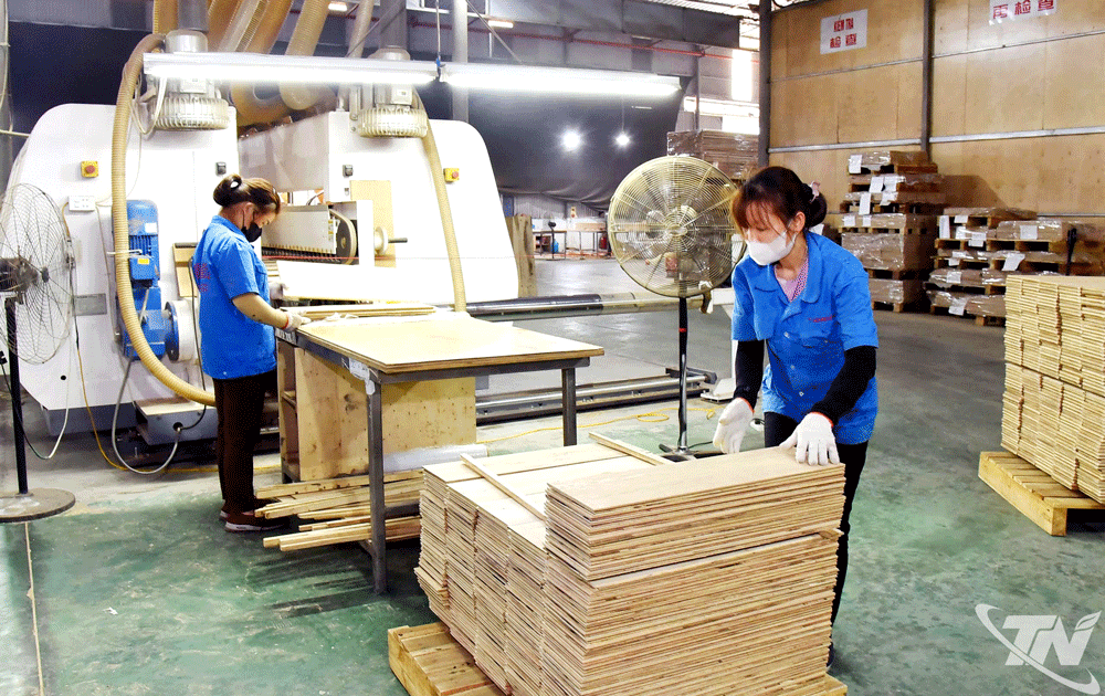 Sản xuất ván ép tại Công ty TNHH Lechenwood Việt Nam (Khu công nghiệp Thanh Bình).