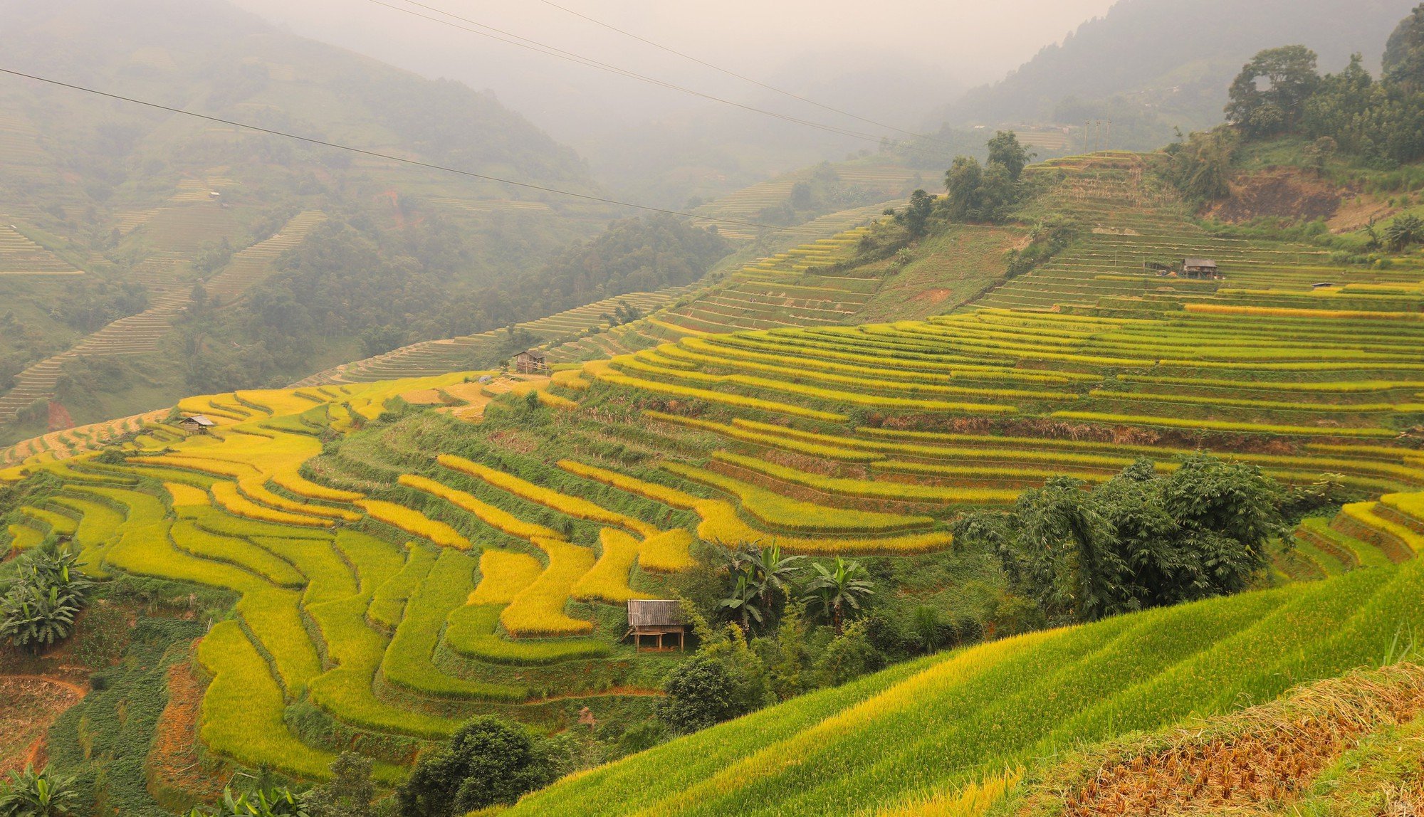 Ngày Du lịch Việt Nam (9/7): Khơi dậy tiềm lực, định hình bản sắc, hướng tới phát triển bền vững - Ảnh 4.