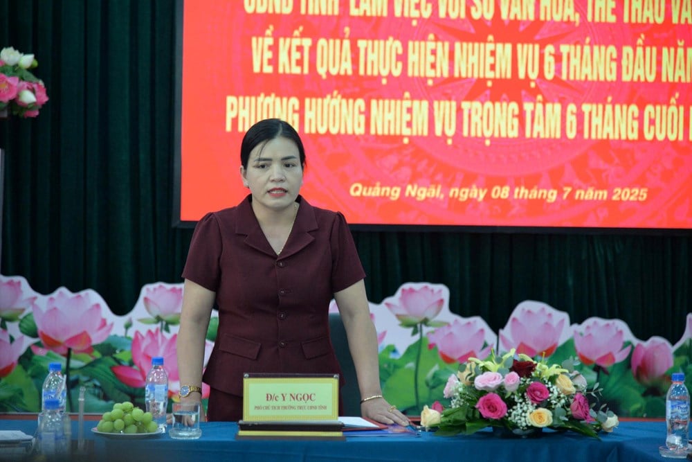 Lãnh đạo tỉnh Quảng Ngãi làm việc với Sở VHTTDL - ảnh 3