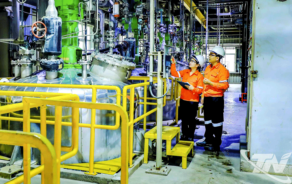 Dây chuyền chế biến sâu tinh quặng xuất khẩu tại Công ty TNHH Khai thác chế biến khoáng sản Núi Pháo.