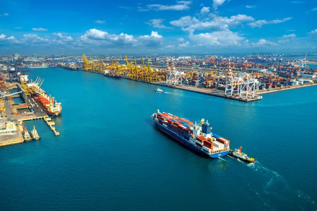 Dự báo mới nhất về tăng trưởng GDP Việt Nam năm nay ảnh 1