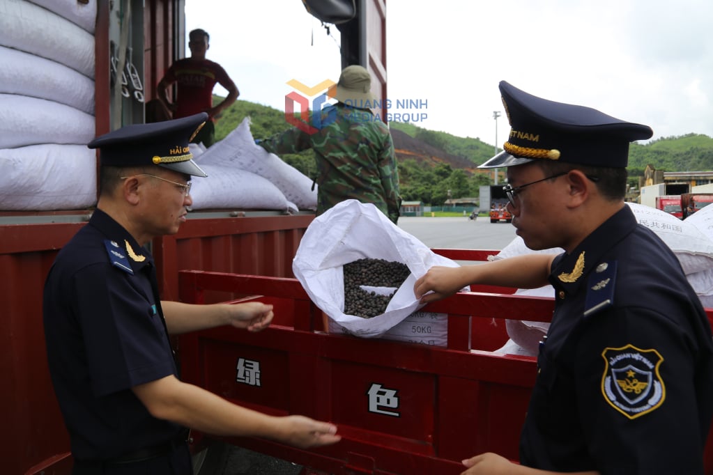 Hải quan cửa khẩu Bắc Phong Sinh kiểm tra hàng nông sản xuất khâu sang thị trường Trung Quốc