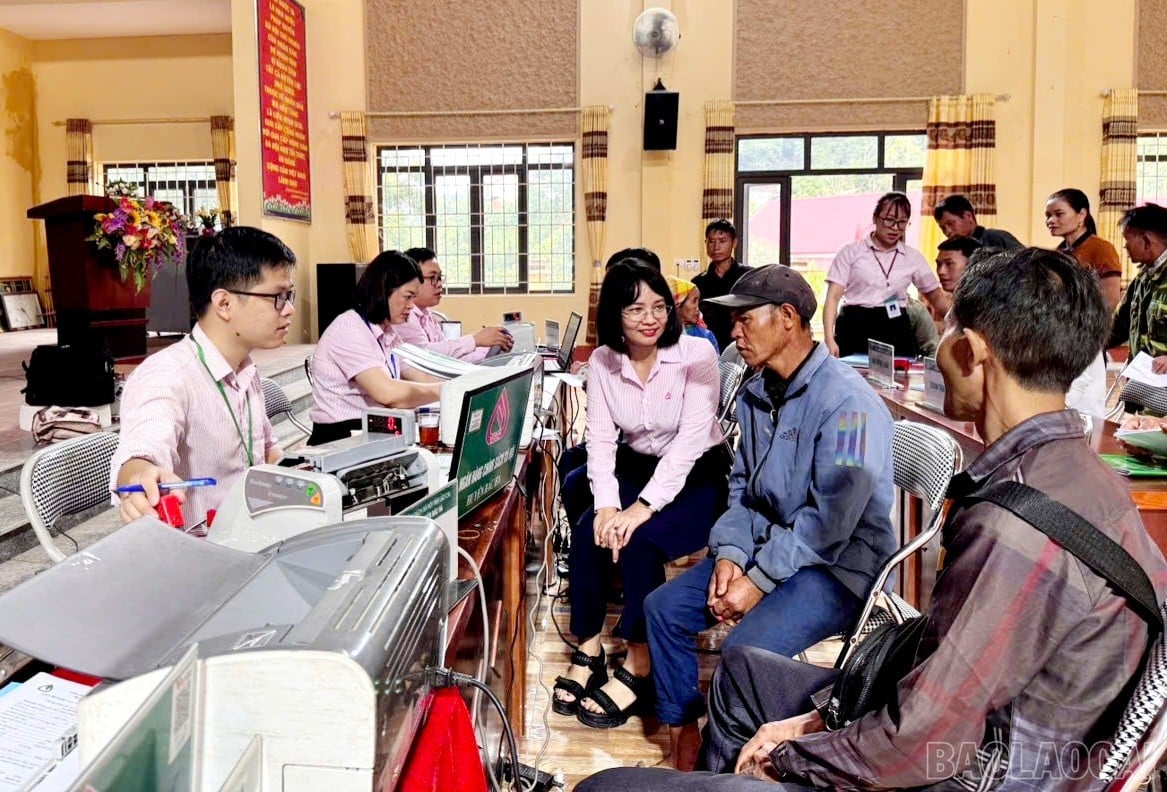 baolaocai-br_1000054320.jpg