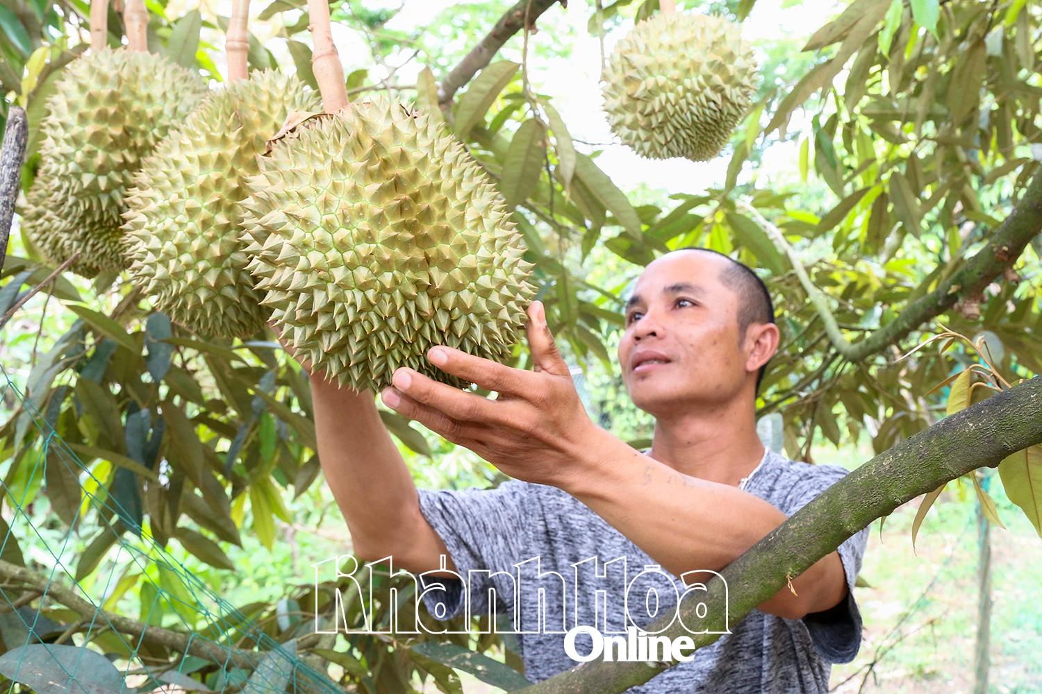 ន
