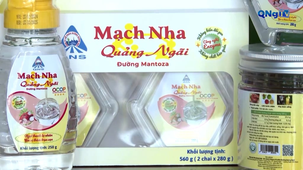 mach,nha,duong,maltoza,14450108.jpg