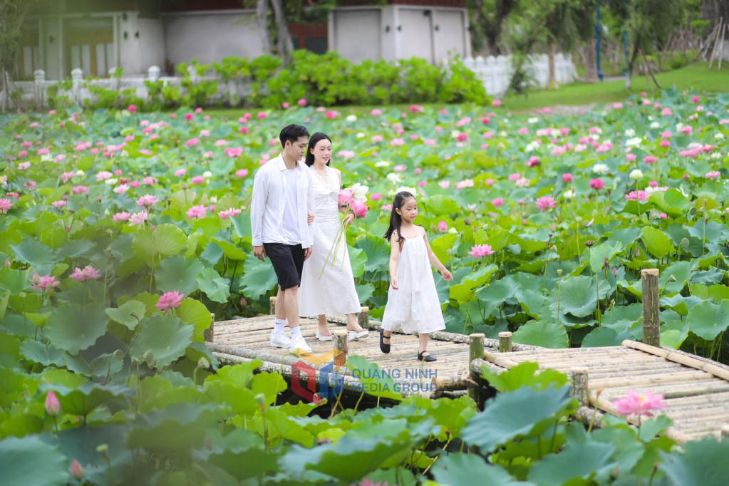 นักท่องเที่ยวเยี่ยมชมสระบัวที่ Sun World Entertainment Complex