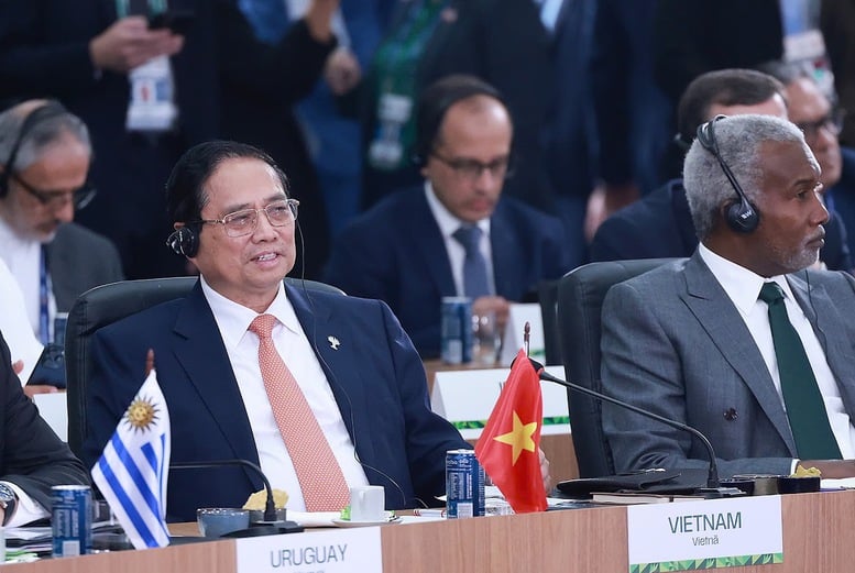 Thủ tướng nêu 5 đề xuất quan trọng về môi trường, khí hậu và y tế tại Hội nghị thượng đỉnh BRICS mở rộng- Ảnh 1.