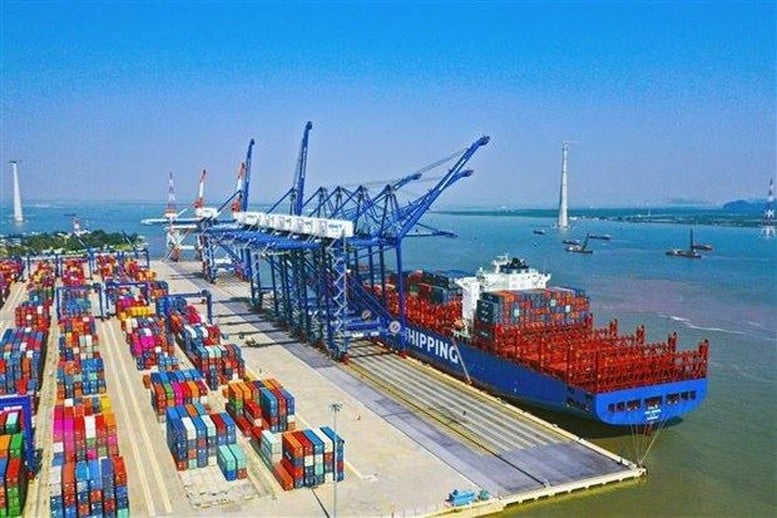 Chấp thuận chủ trương đầu tư xây dựng 04 bến cảng container mới tại Hải Phòng- Ảnh 1.