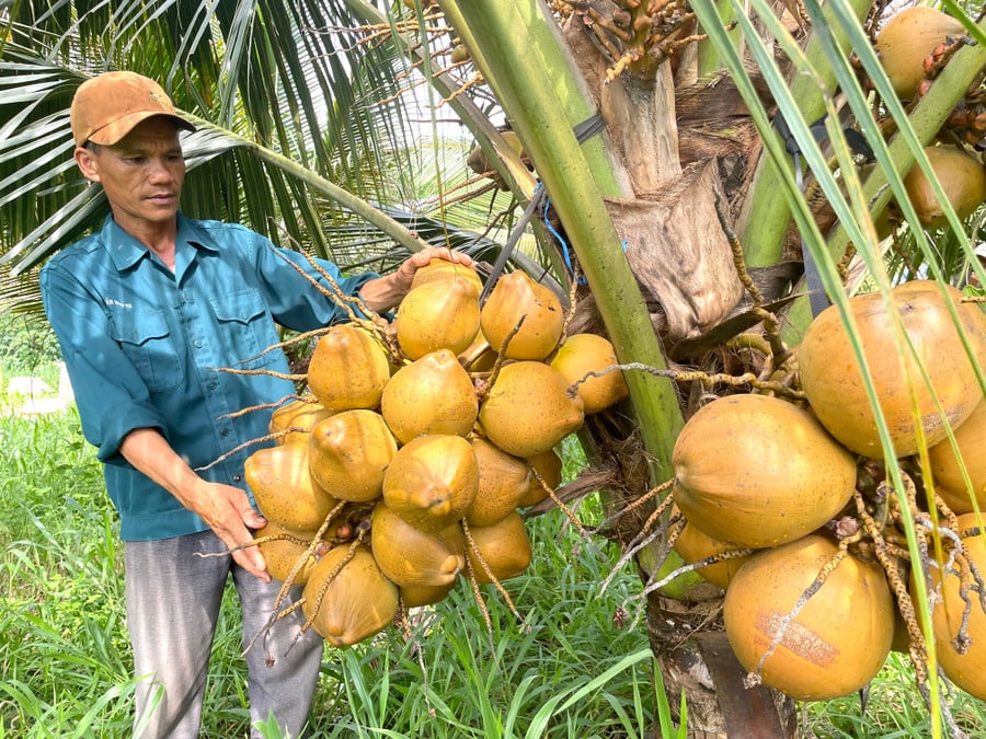 nhung-buong-dua-xiem-triu-trit-qua-duoc-anh-thiet-trong-tren-khu-vuc-bien-gioi-anh-van-ngoc.jpg