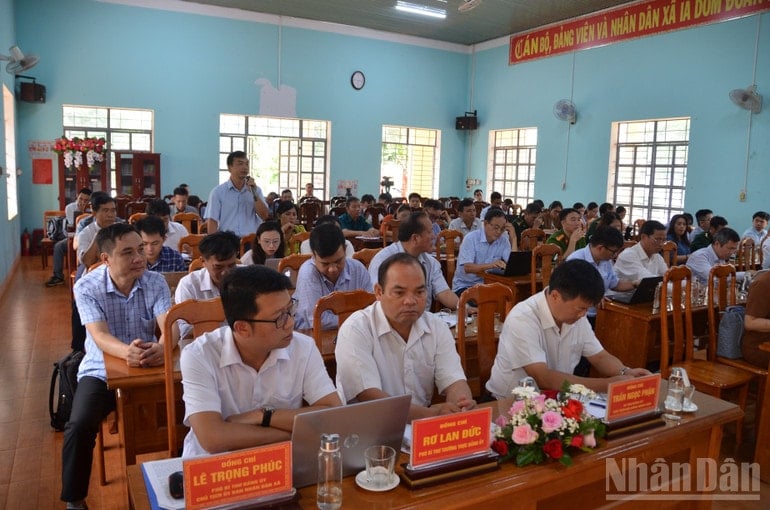 ndo_br_dsc-0034.jpg