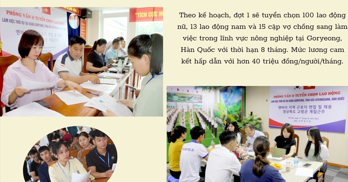 Lao Cai : Offrir des opportunités – Créer un avenir meilleur pour les travailleurs