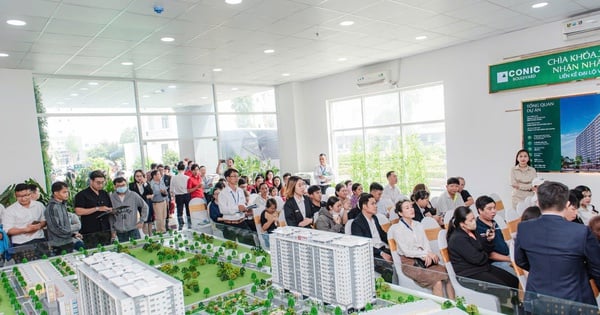 Cung - cầu căn hộ đều tăng đột biến