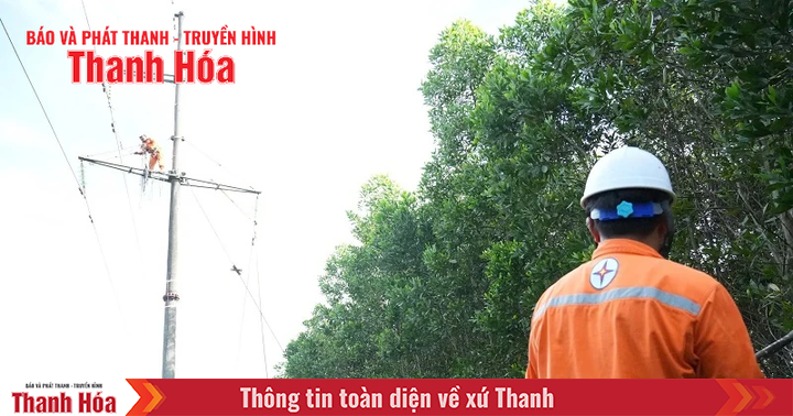 Khắc phục nhanh nhất sự cố, cấp điện trở lại trên đường dây 110kV Nông Cống - Nghi Sơn