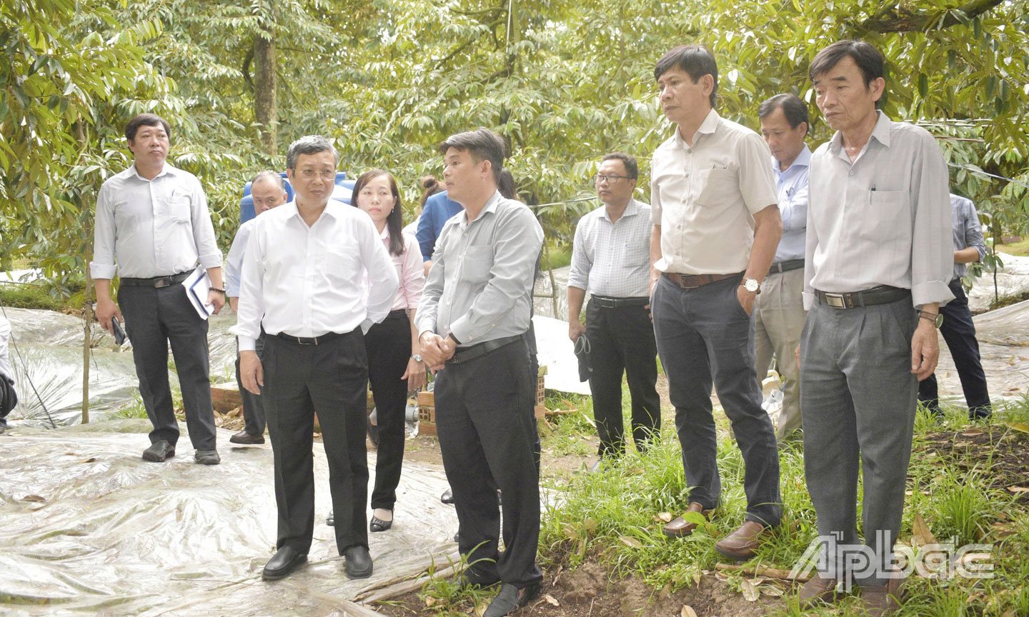 Ngành Nông nghiệp sẽ tiếp tục tăng cường quản lý mã số vùng trồng, cơ sở đóng gói trên địa bàn tỉnh.