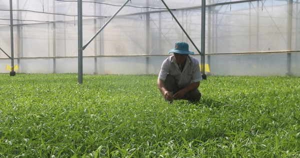Continue to exempt agricultural land use tax until the end of 2030