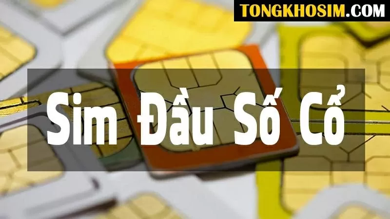 Sim đầu số cổ là gì?