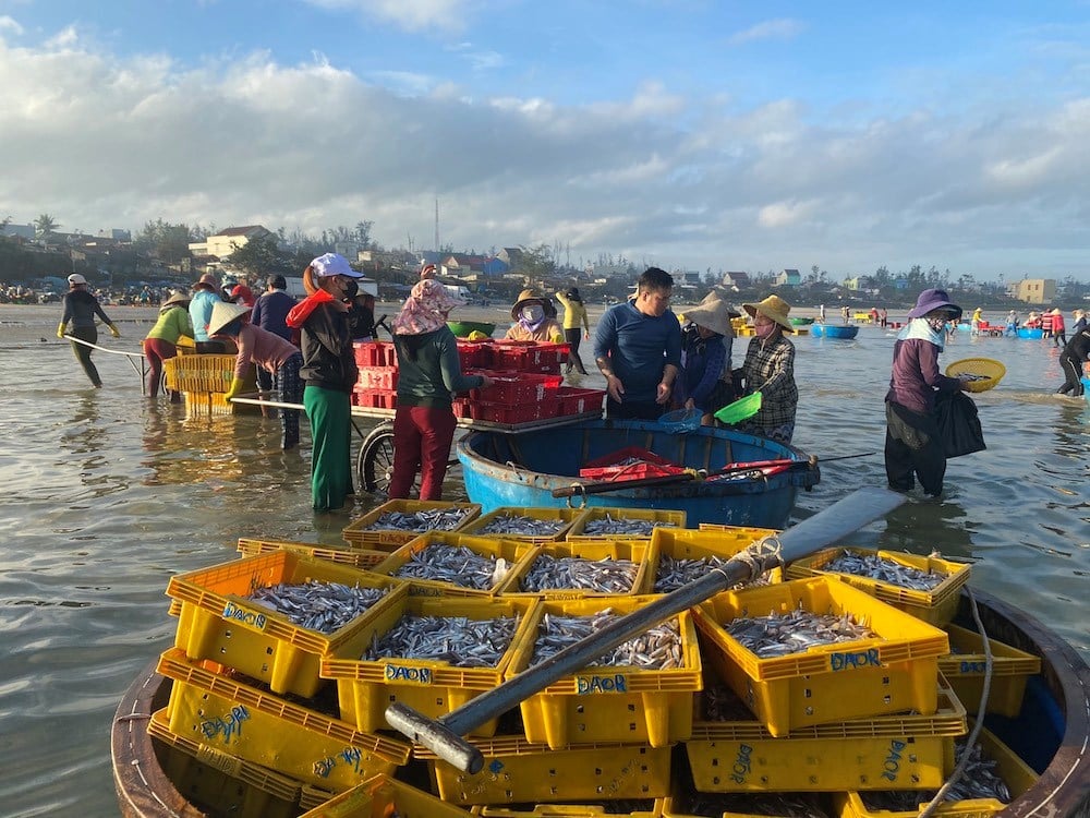 Bài cuối - Di sản bản địa thành sức hút toàn cầu - ảnh 3