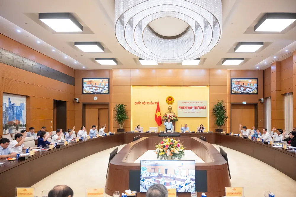 Biểu quyết.jpg