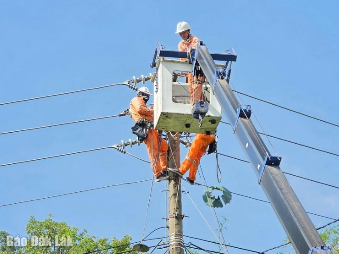 Công nhân Công ty Điện lực Đắk Lắk thi công sửa chữa trên lưới điện