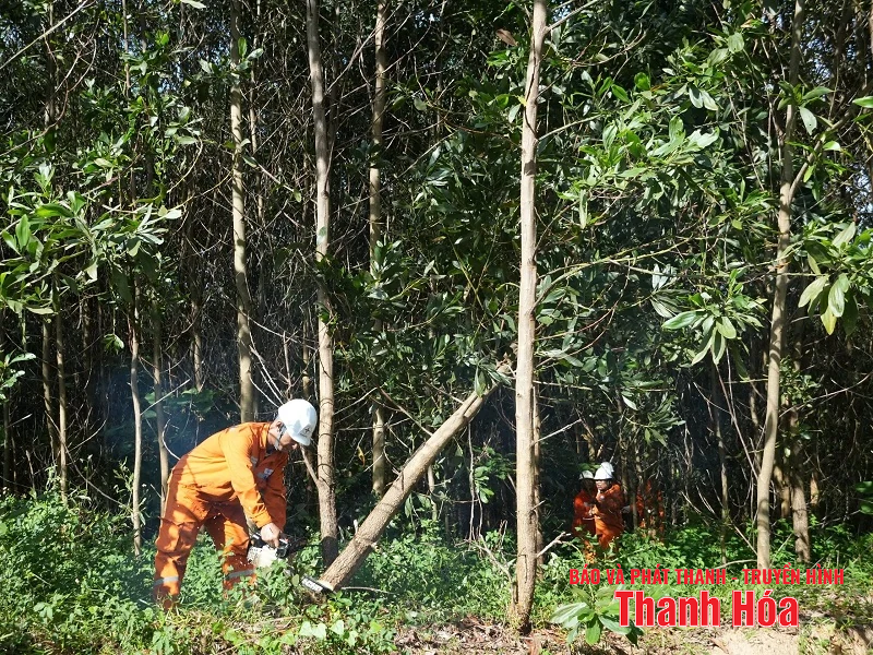 ការដោះស្រាយបញ្ហាលឿនបំផុត ការស្តារថាមពលឡើងវិញនៅលើខ្សែ 110kV Nong Cong - Nghi Son