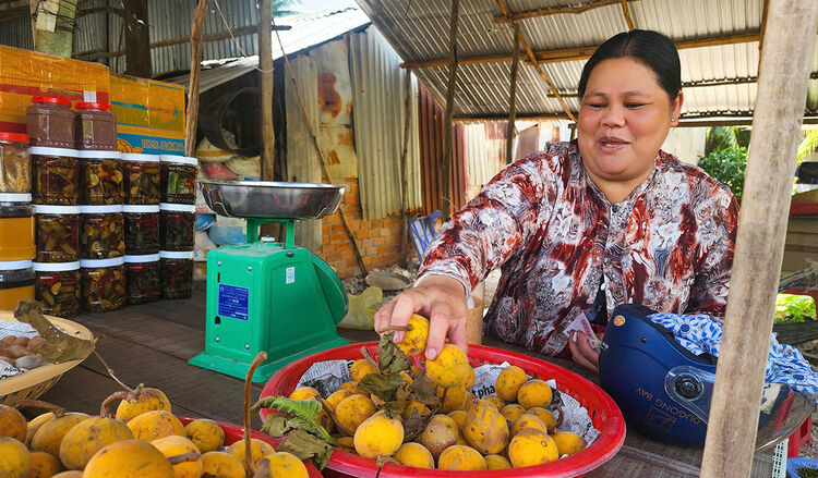 ទៅ An Giang ដើម្បីរីករាយនឹងផ្លែឈើ