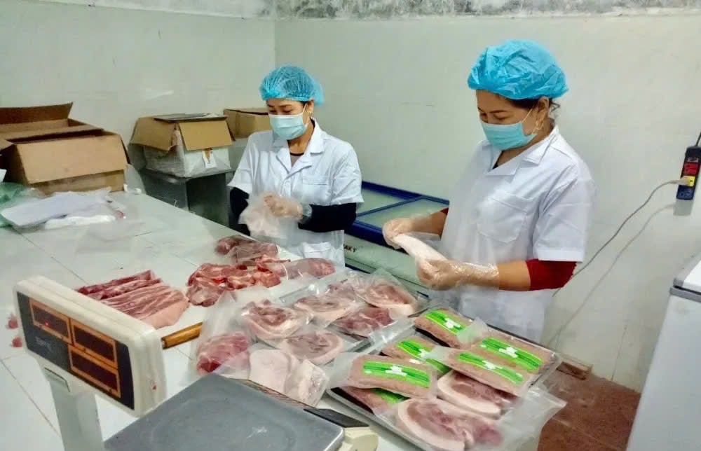 Big-meat-packaging-at-the-cooperative-farming-and-service-dong-tam-xa-kieu-phu-.-anh-quang-linh.jpg